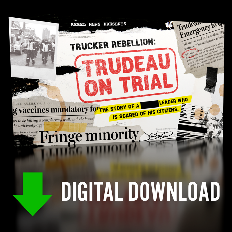Load image into Gallery viewer, DIGITAL DOWNLOAD | Trudeau On Trial