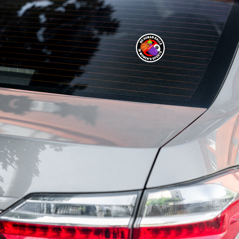 Load image into Gallery viewer, No Human Balls! Sticker