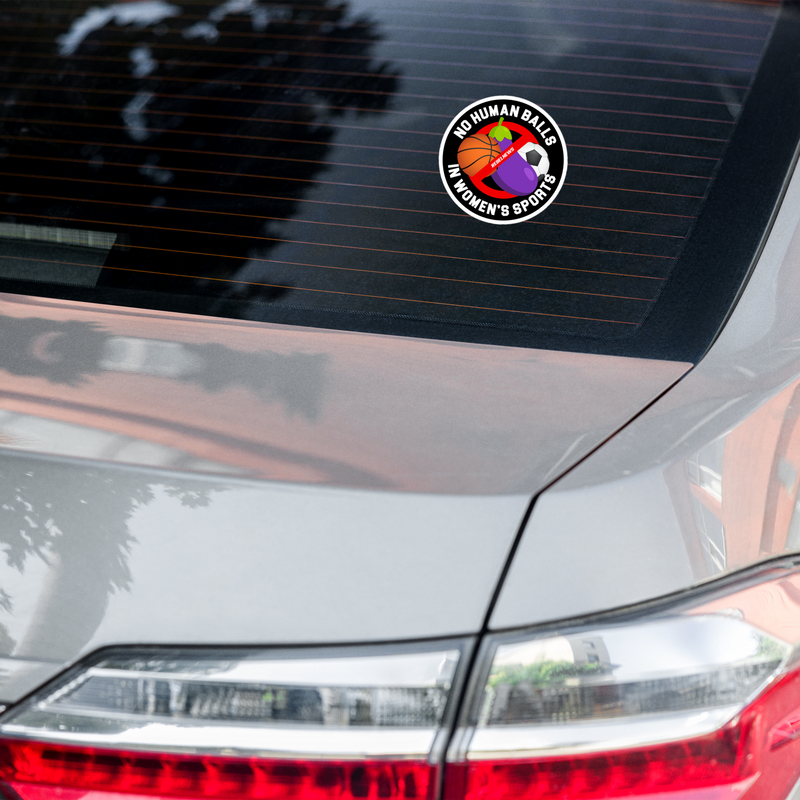 Load image into Gallery viewer, No Human Balls! Sticker