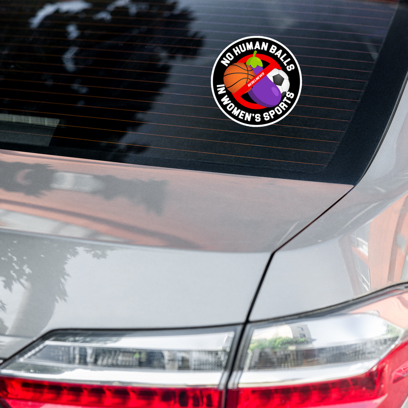 Load image into Gallery viewer, No Human Balls! Sticker