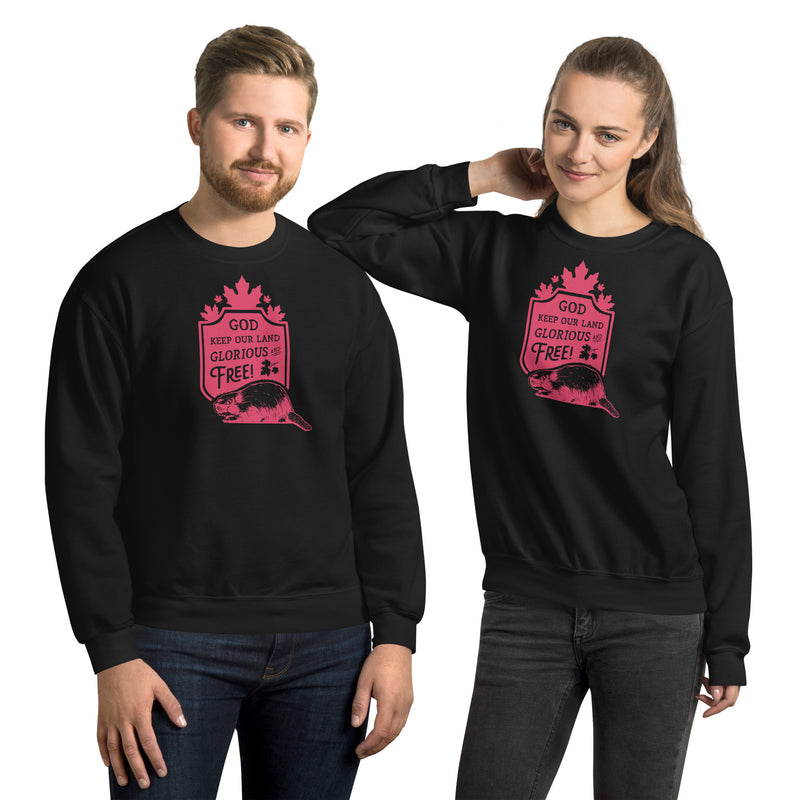Load image into Gallery viewer, God Keep Our Land Unisex Sweatshirt