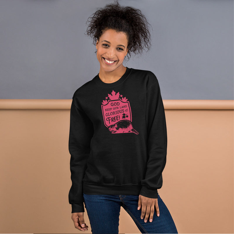 Load image into Gallery viewer, God Keep Our Land Unisex Sweatshirt