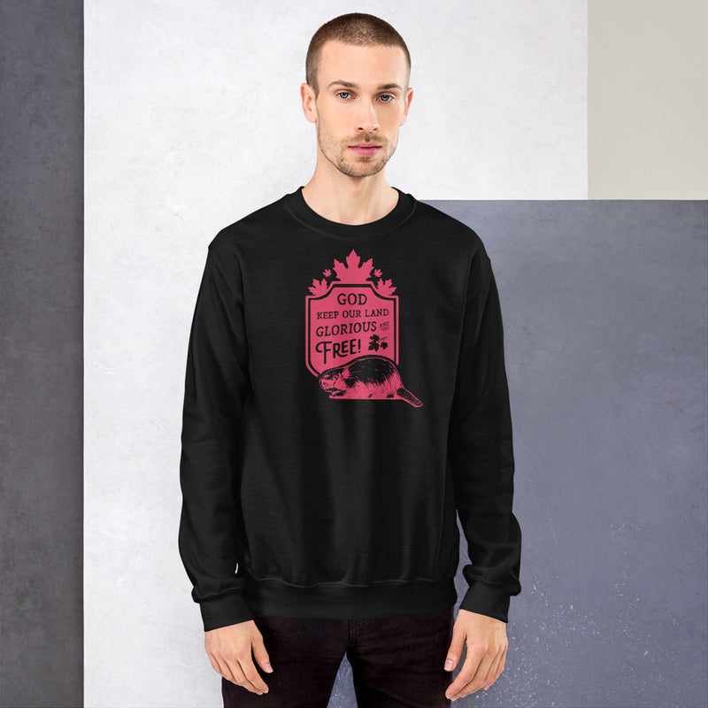 Load image into Gallery viewer, God Keep Our Land Unisex Sweatshirt