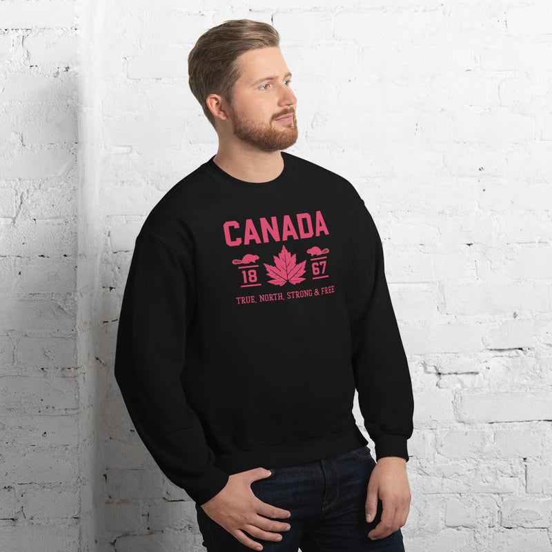 Load image into Gallery viewer, True North Strong and Free Unisex Sweatshirt