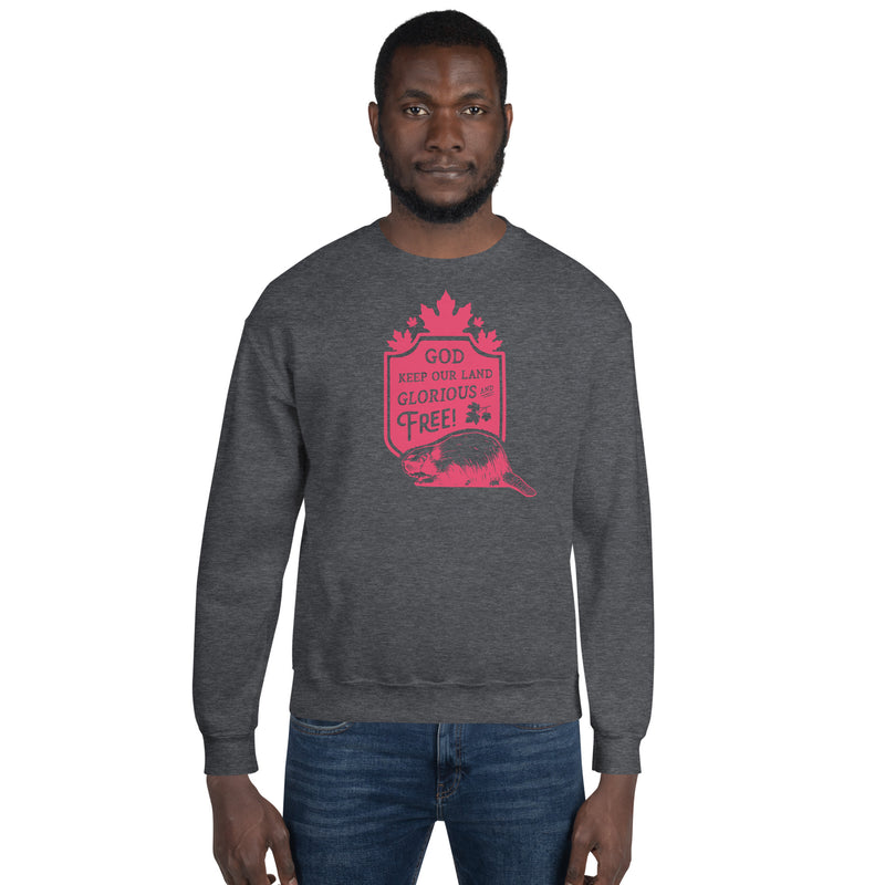 Load image into Gallery viewer, God Keep Our Land Unisex Sweatshirt