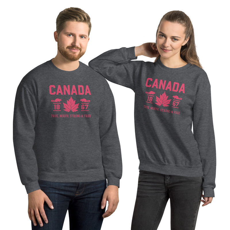 Load image into Gallery viewer, True North Strong and Free Unisex Sweatshirt