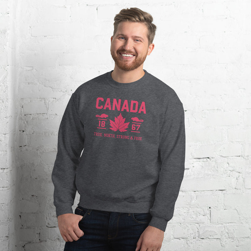 Load image into Gallery viewer, True North Strong and Free Unisex Sweatshirt