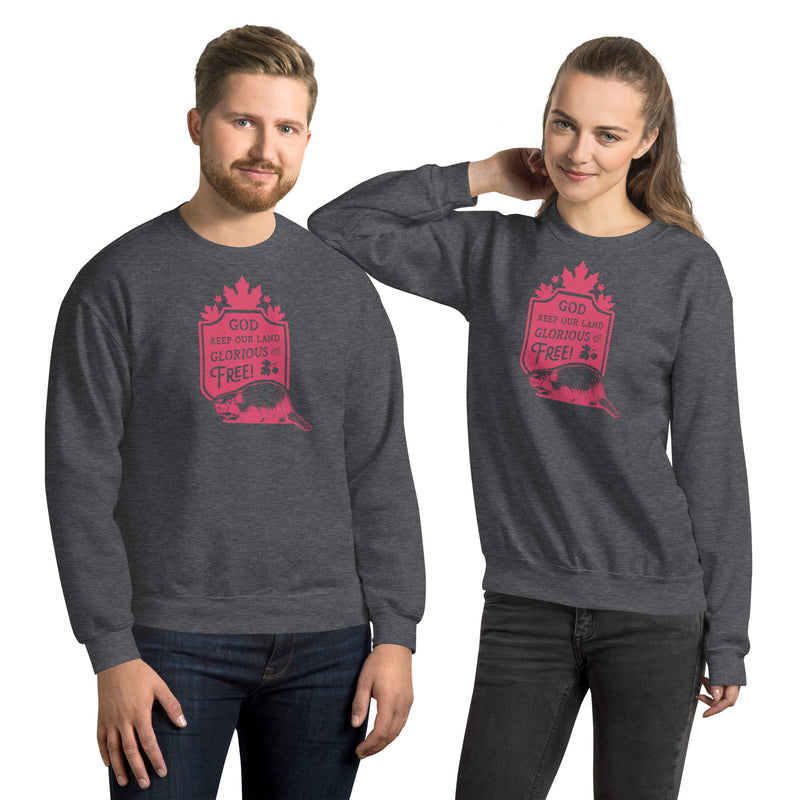 Load image into Gallery viewer, God Keep Our Land Unisex Sweatshirt