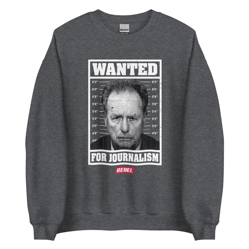 Load image into Gallery viewer, Wanted For Journalism Unisex Sweatshirt