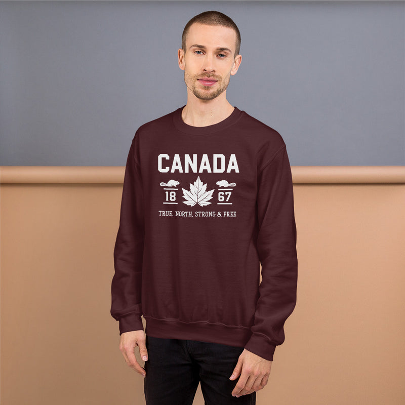 Load image into Gallery viewer, True North Strong and Free Unisex Sweatshirt