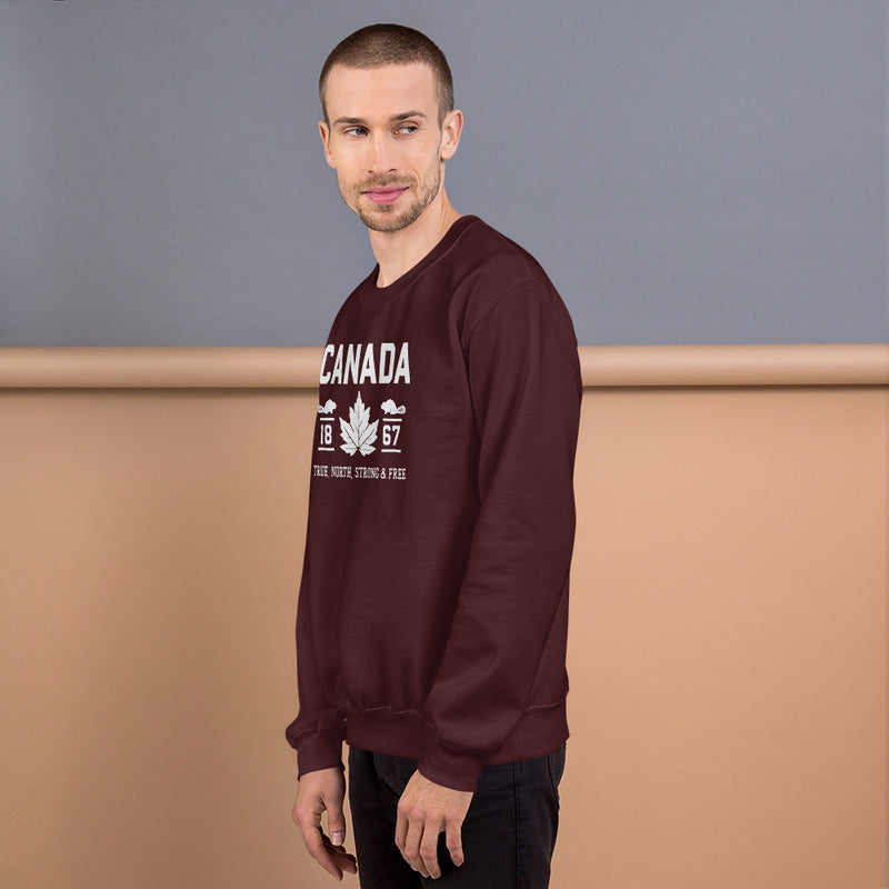 Load image into Gallery viewer, True North Strong and Free Unisex Sweatshirt