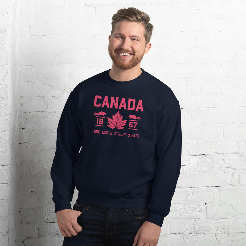 Load image into Gallery viewer, True North Strong and Free Unisex Sweatshirt