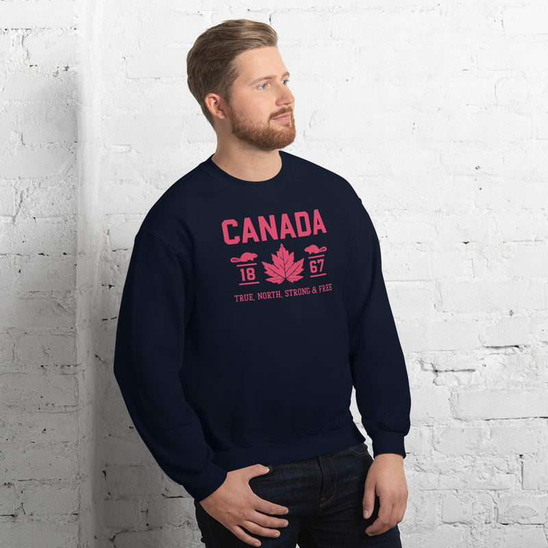 Load image into Gallery viewer, True North Strong and Free Unisex Sweatshirt