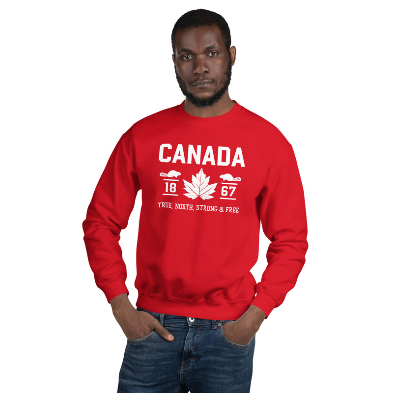 Load image into Gallery viewer, True North Strong and Free Unisex Sweatshirt