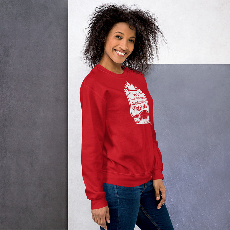 Load image into Gallery viewer, God Keep Our Land Unisex Sweatshirt