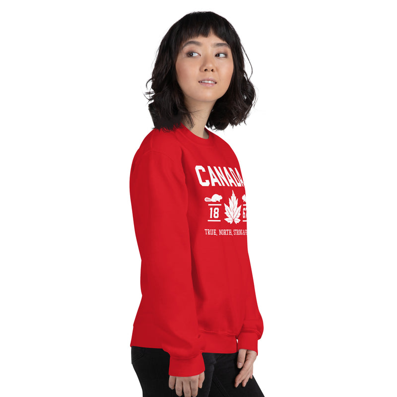 Load image into Gallery viewer, True North Strong and Free Unisex Sweatshirt