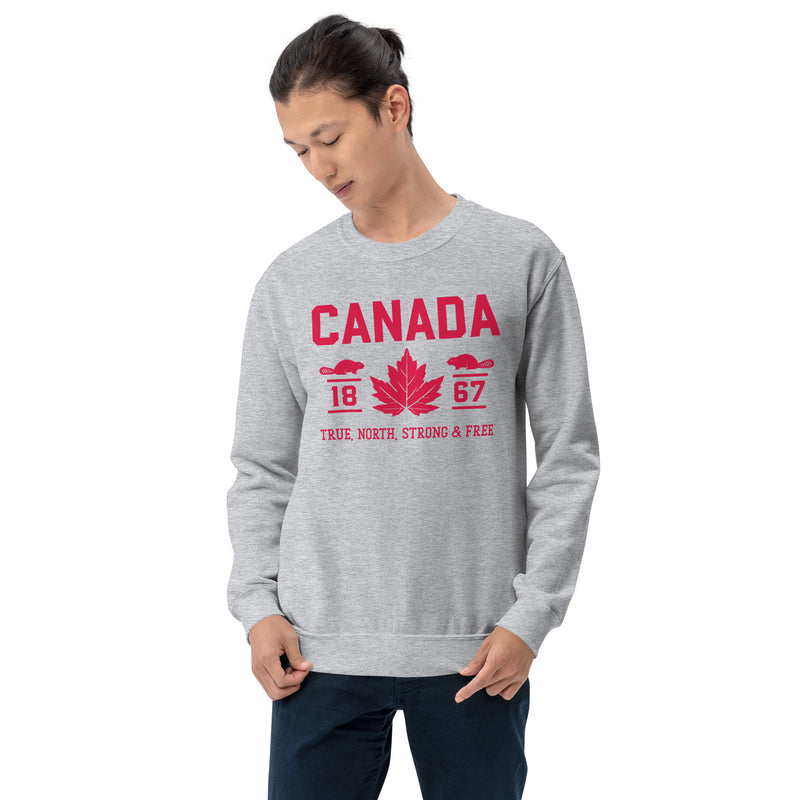 Load image into Gallery viewer, True North Strong and Free Unisex Sweatshirt
