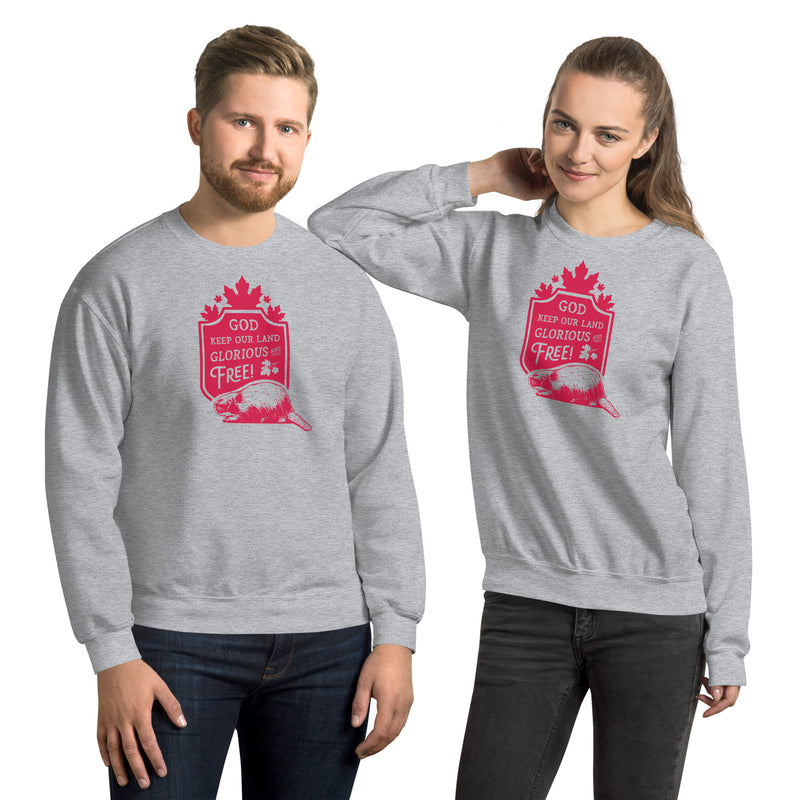 Load image into Gallery viewer, God Keep Our Land Unisex Sweatshirt