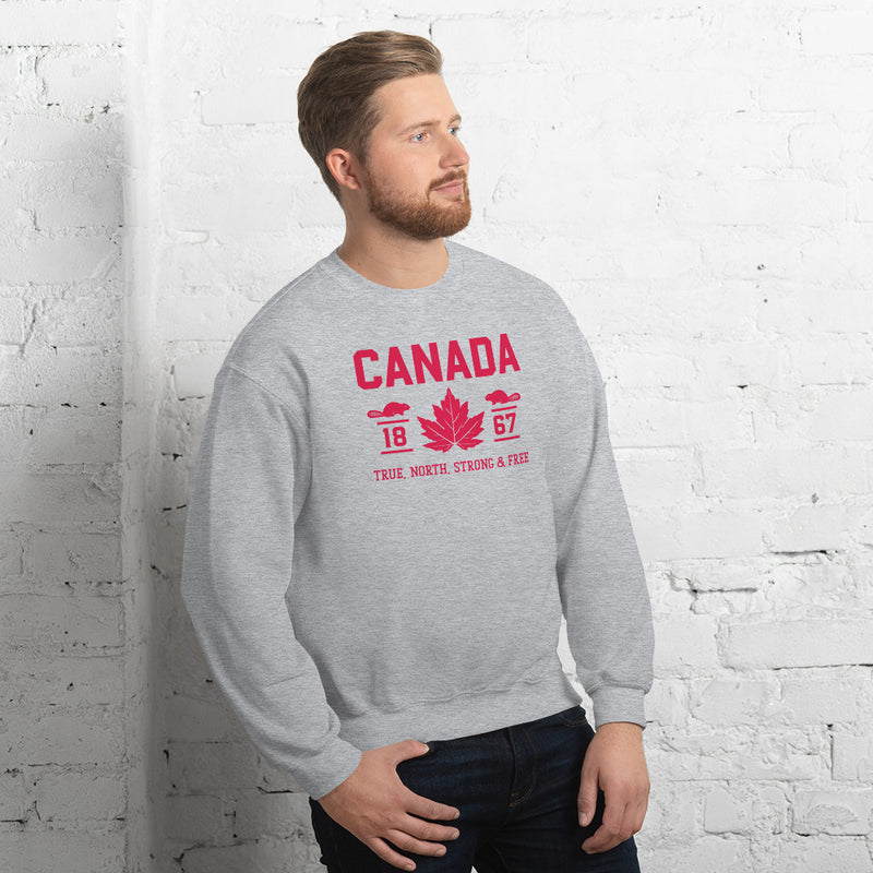 Load image into Gallery viewer, True North Strong and Free Unisex Sweatshirt