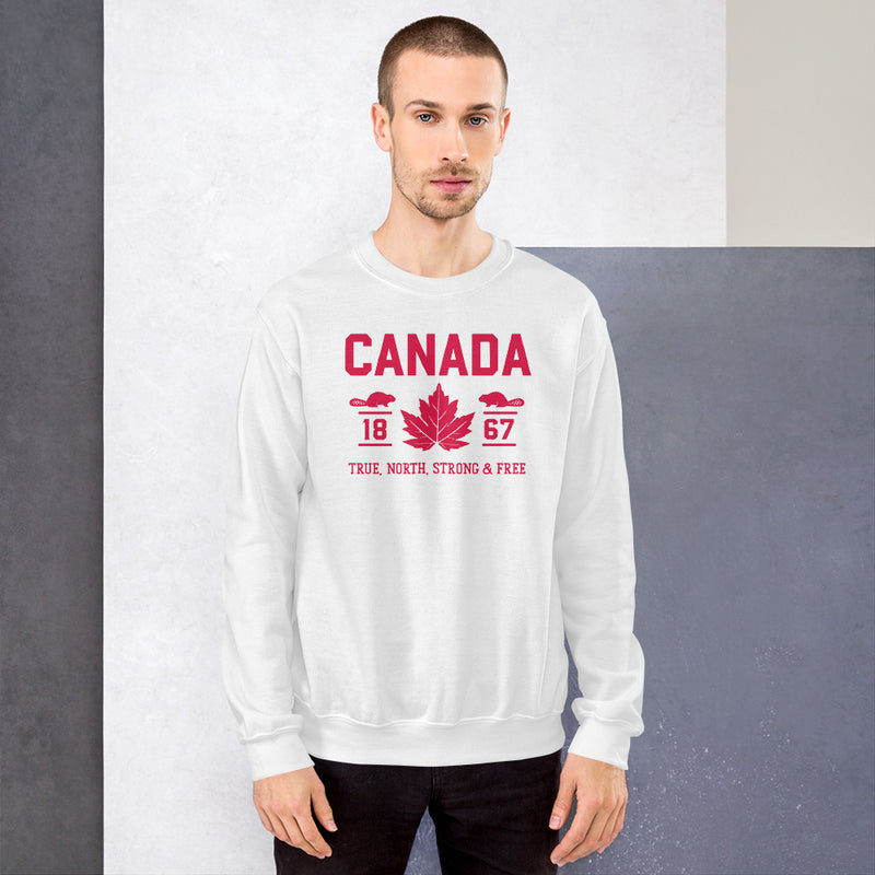 Load image into Gallery viewer, True North Strong and Free Unisex Sweatshirt