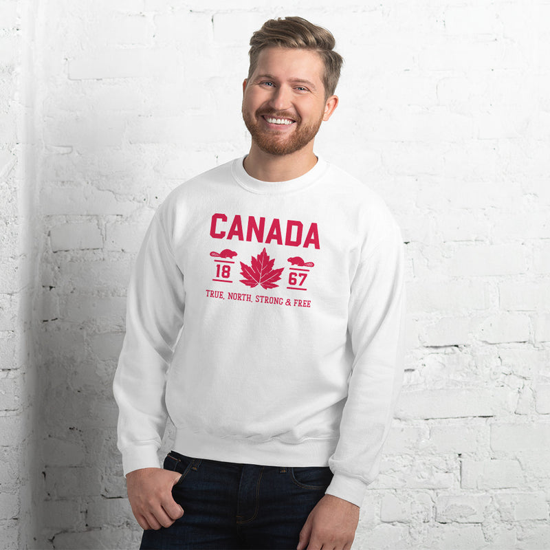 Load image into Gallery viewer, True North Strong and Free Unisex Sweatshirt