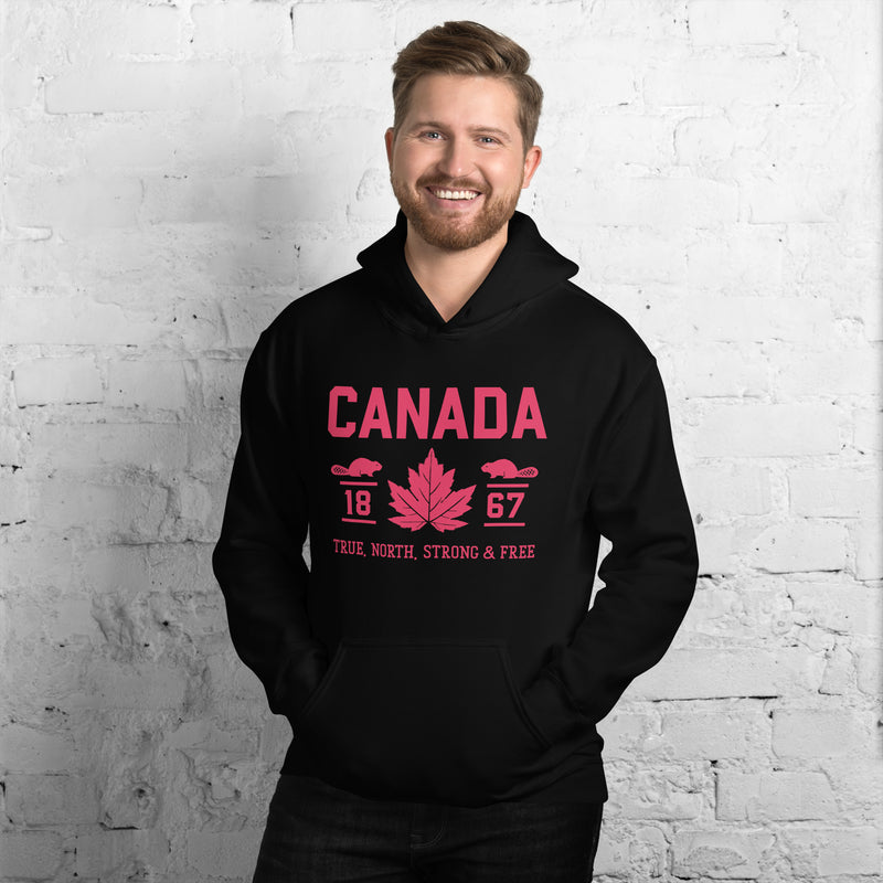 Load image into Gallery viewer, True North Strong and Free Unisex Hoodie