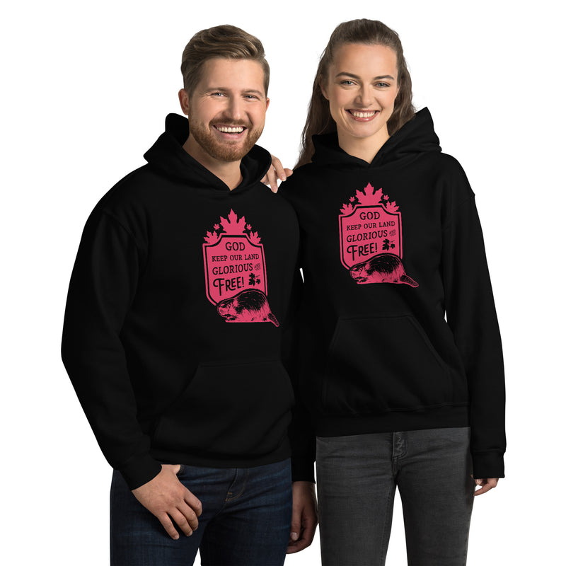Load image into Gallery viewer, God Keep Our Land Unisex Hoodie