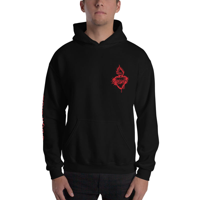 Load image into Gallery viewer, John 8:32 - Unisex Hoodie
