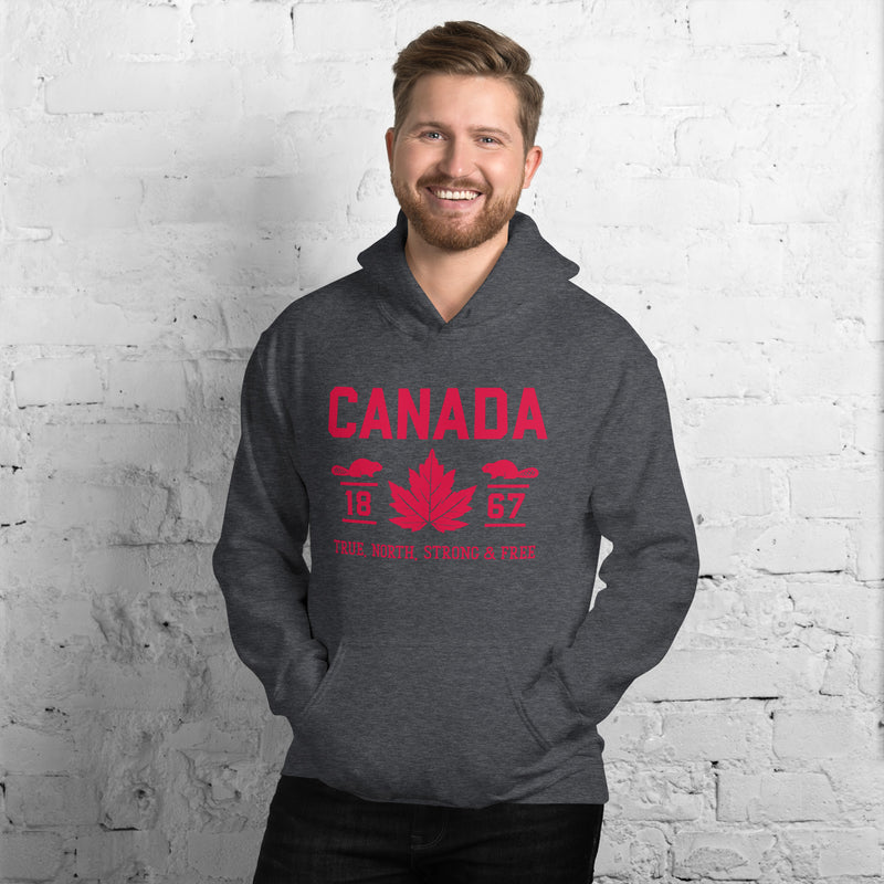 Load image into Gallery viewer, True North Strong and Free Unisex Hoodie