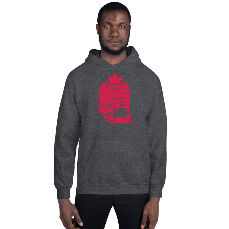 Load image into Gallery viewer, God Keep Our Land Unisex Hoodie