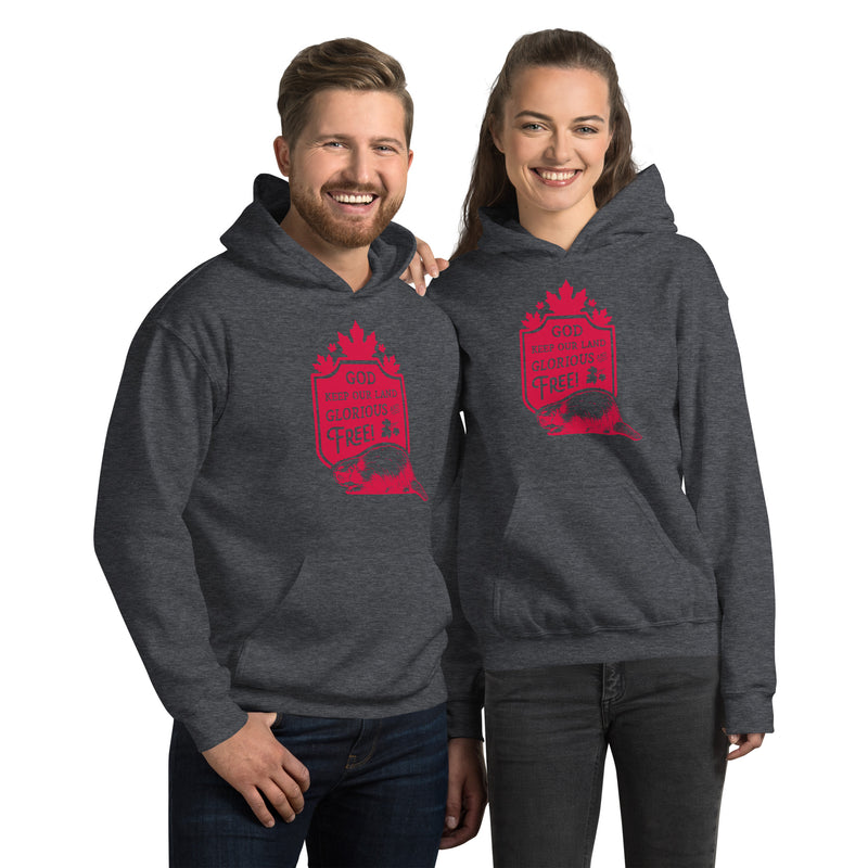 Load image into Gallery viewer, God Keep Our Land Unisex Hoodie