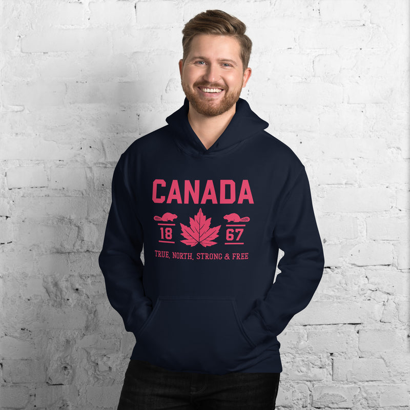 Load image into Gallery viewer, True North Strong and Free Unisex Hoodie