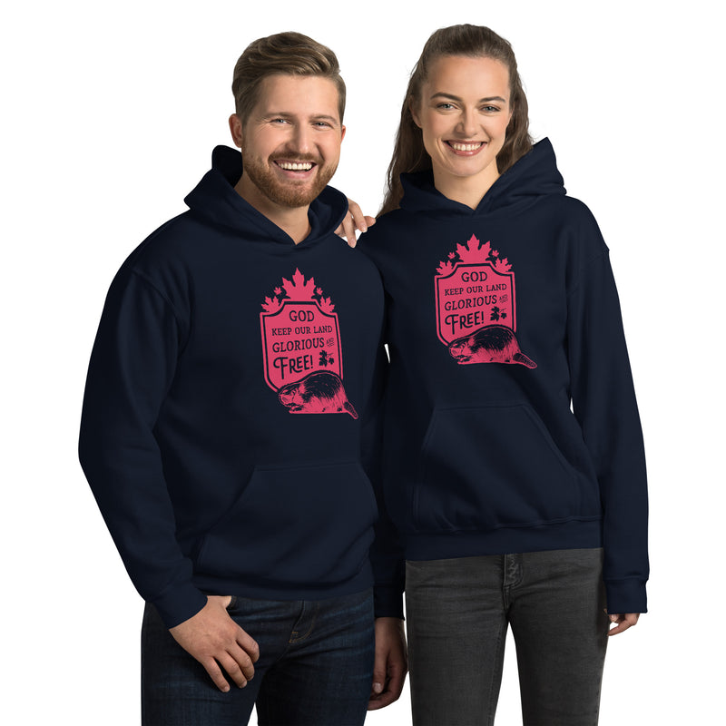 Load image into Gallery viewer, God Keep Our Land Unisex Hoodie