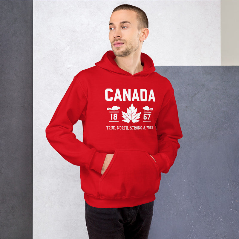 Load image into Gallery viewer, True North Strong and Free Unisex Hoodie