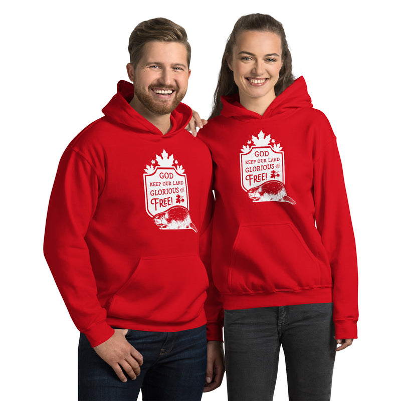Load image into Gallery viewer, God Keep Our Land Unisex Hoodie