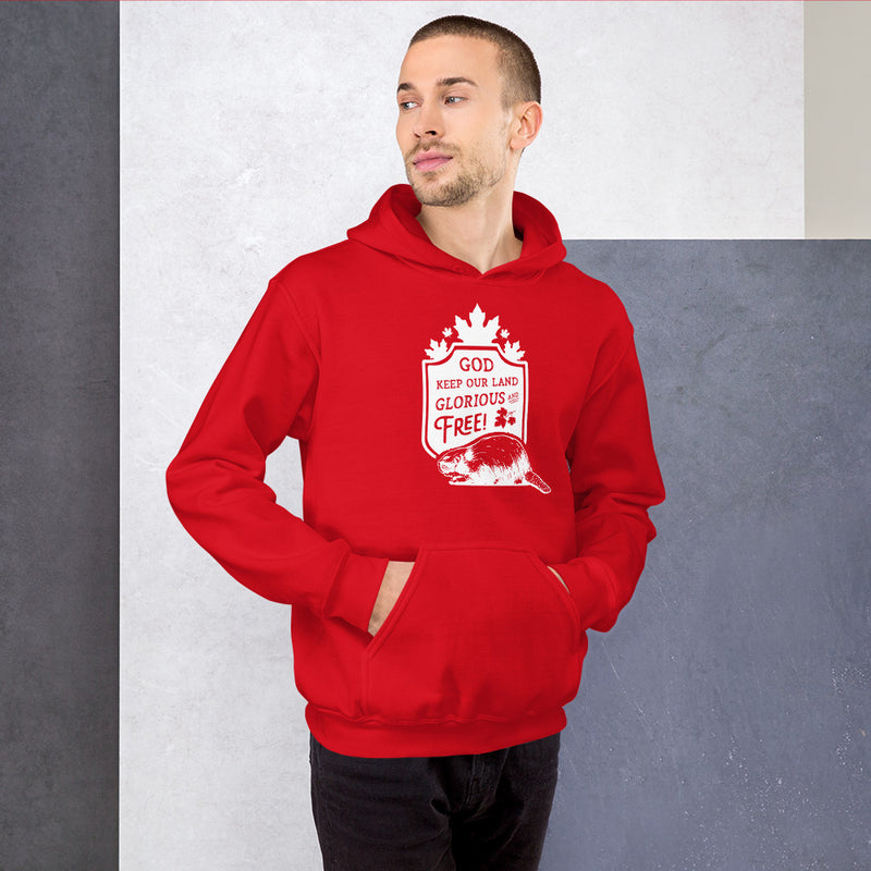 Load image into Gallery viewer, God Keep Our Land Unisex Hoodie