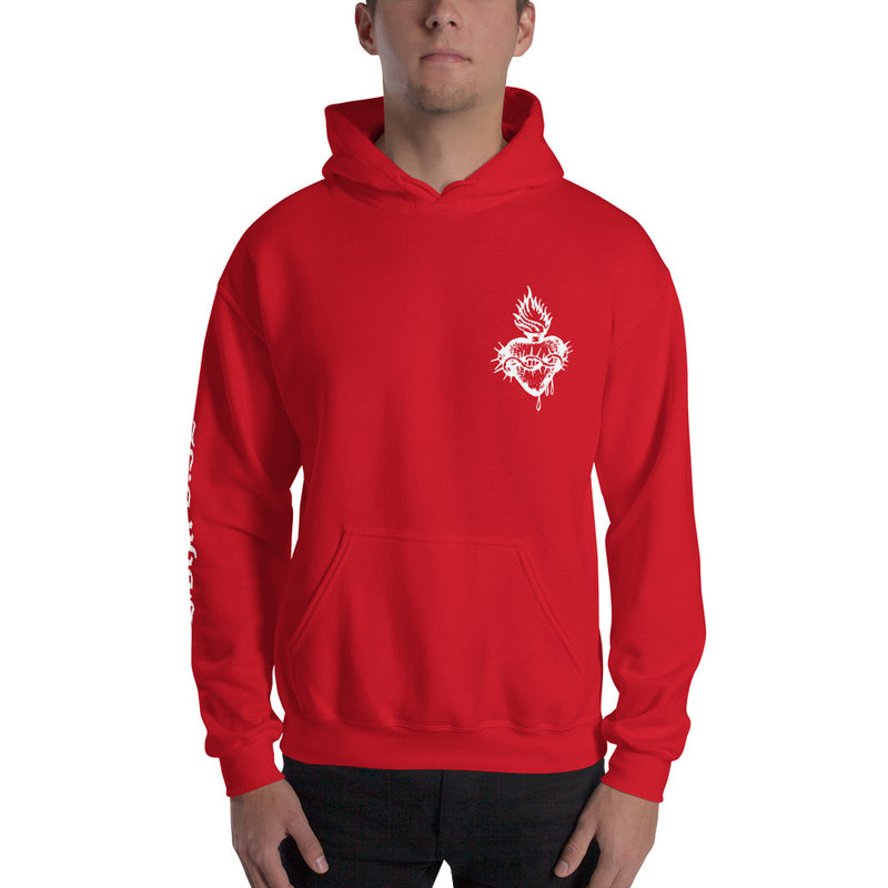 Load image into Gallery viewer, John 8:32 - Unisex Hoodie