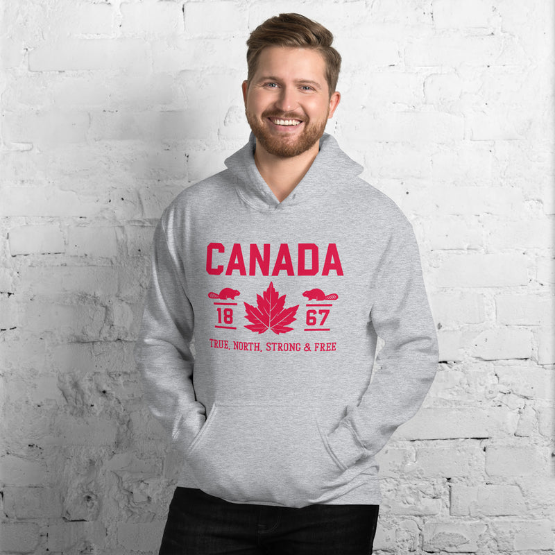 Load image into Gallery viewer, True North Strong and Free Unisex Hoodie