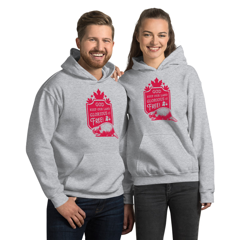 Load image into Gallery viewer, God Keep Our Land Unisex Hoodie