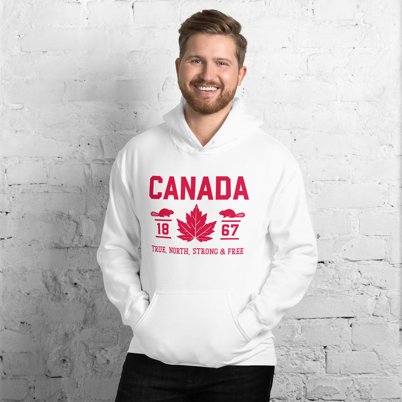 Load image into Gallery viewer, True North Strong and Free Unisex Hoodie
