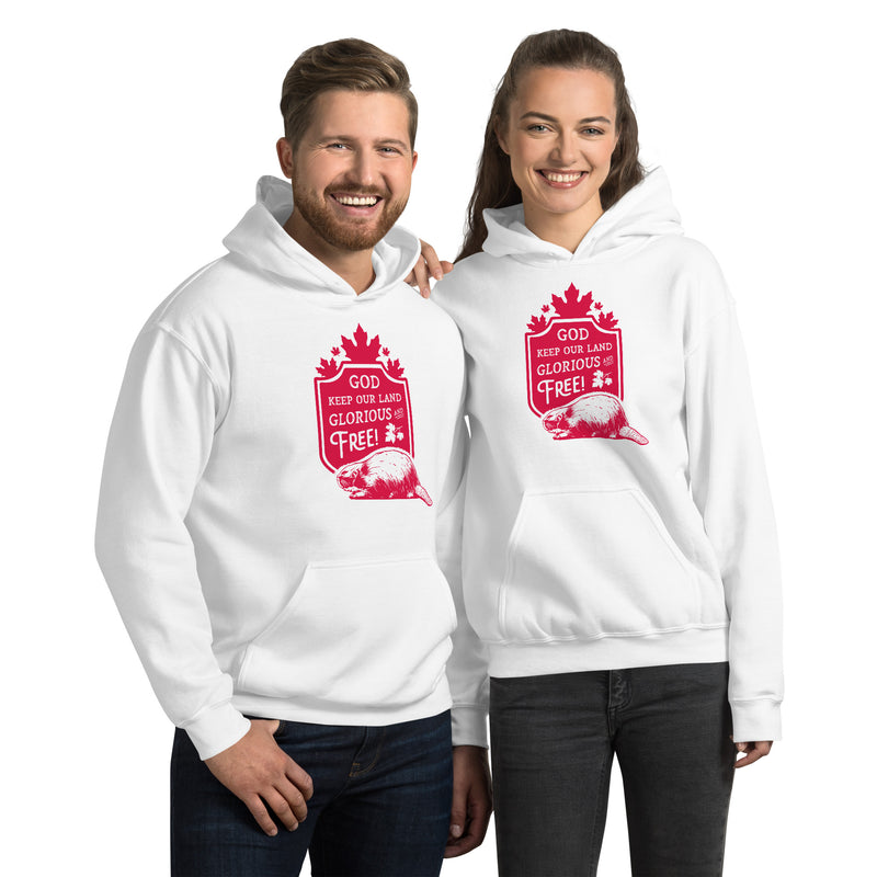 Load image into Gallery viewer, God Keep Our Land Unisex Hoodie
