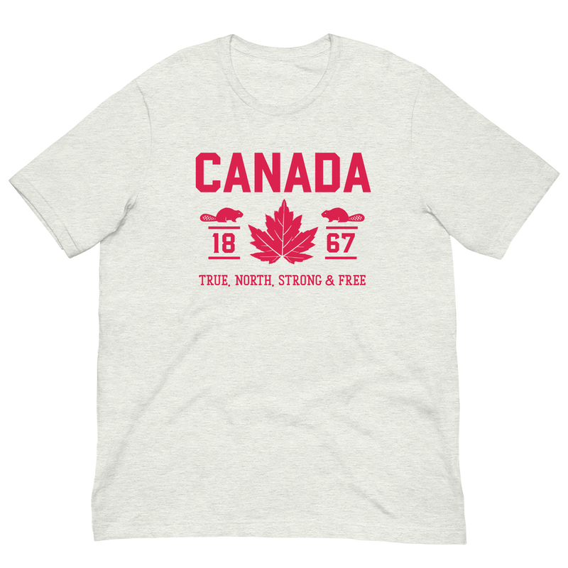 Load image into Gallery viewer, True North Strong and Free Unisex T-Shirt