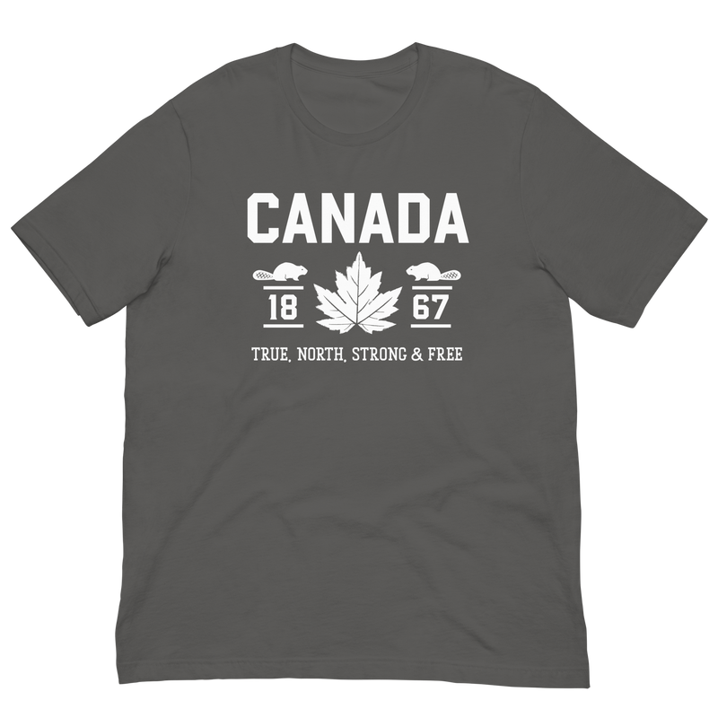 Load image into Gallery viewer, True North Strong and Free Unisex T-Shirt