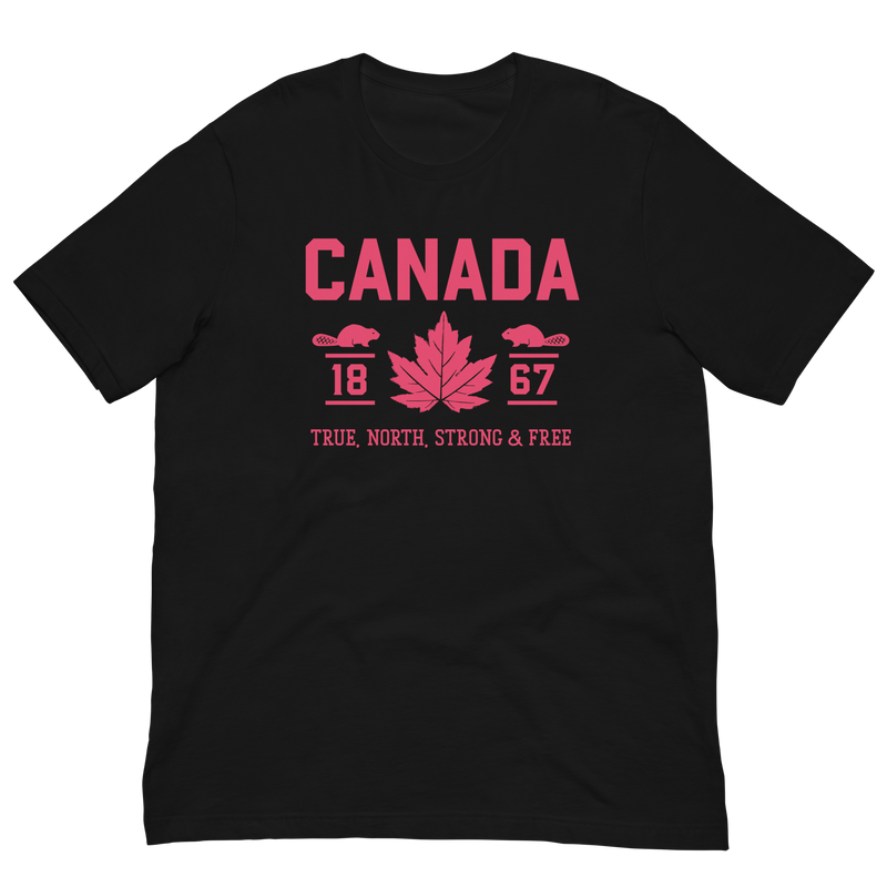 Load image into Gallery viewer, True North Strong and Free Unisex T-Shirt