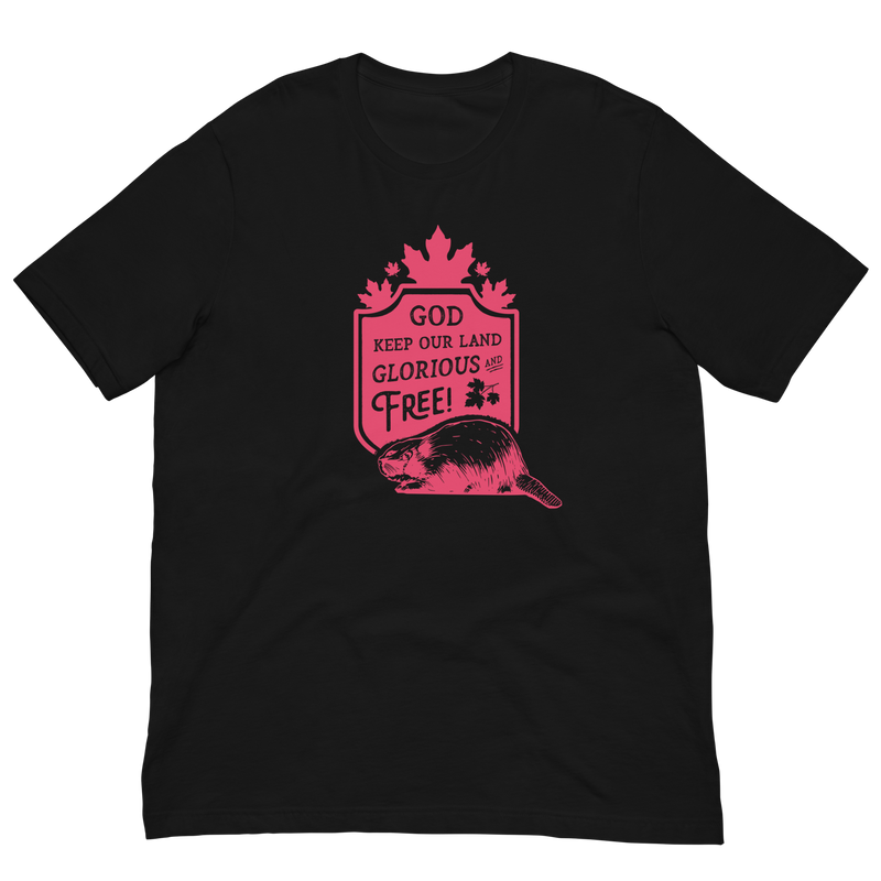 Load image into Gallery viewer, God Keep Our Land Unisex T-Shirt