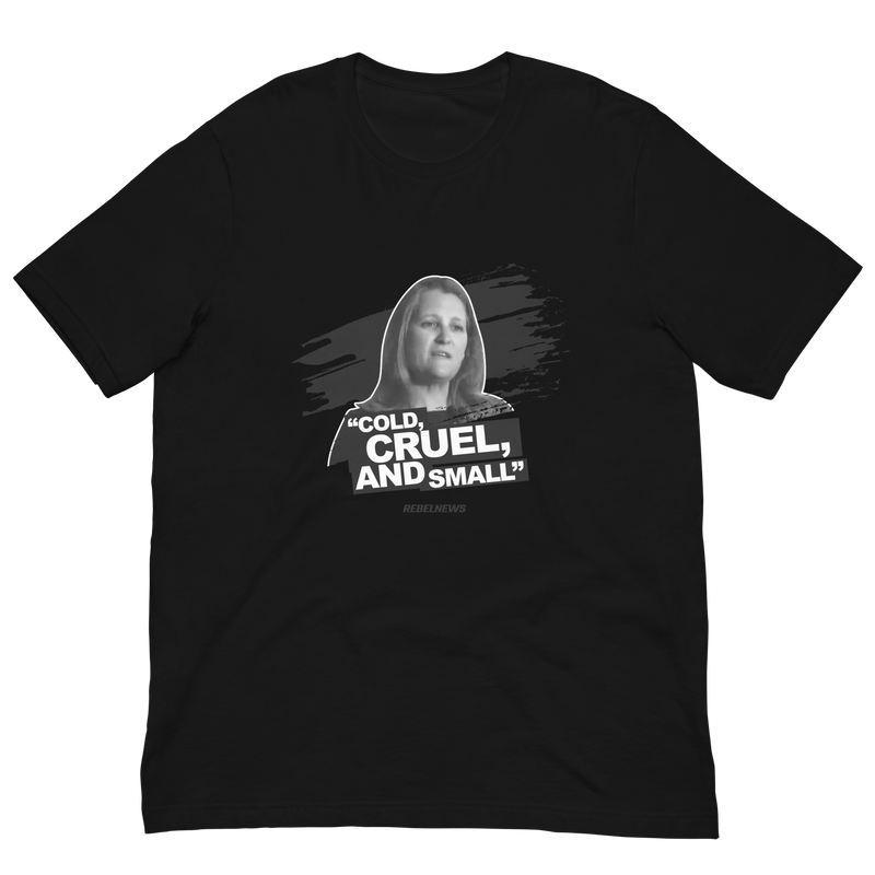 Load image into Gallery viewer, Cold, Cruel, and Small Unisex T-Shirt
