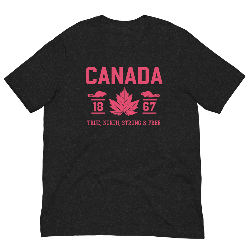 Load image into Gallery viewer, True North Strong and Free Unisex T-Shirt