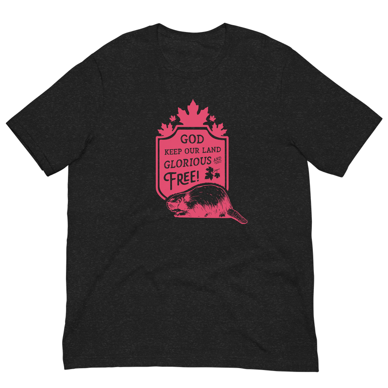 Load image into Gallery viewer, God Keep Our Land Unisex T-Shirt