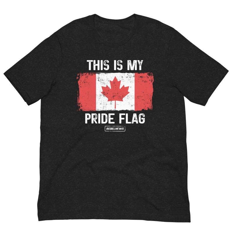 Load image into Gallery viewer, This is my Pride Flag (CA) Unisex T-Shirt