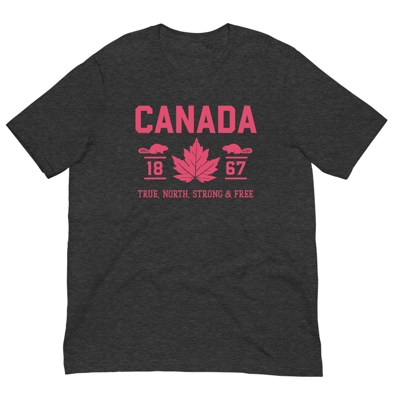 Load image into Gallery viewer, True North Strong and Free Unisex T-Shirt
